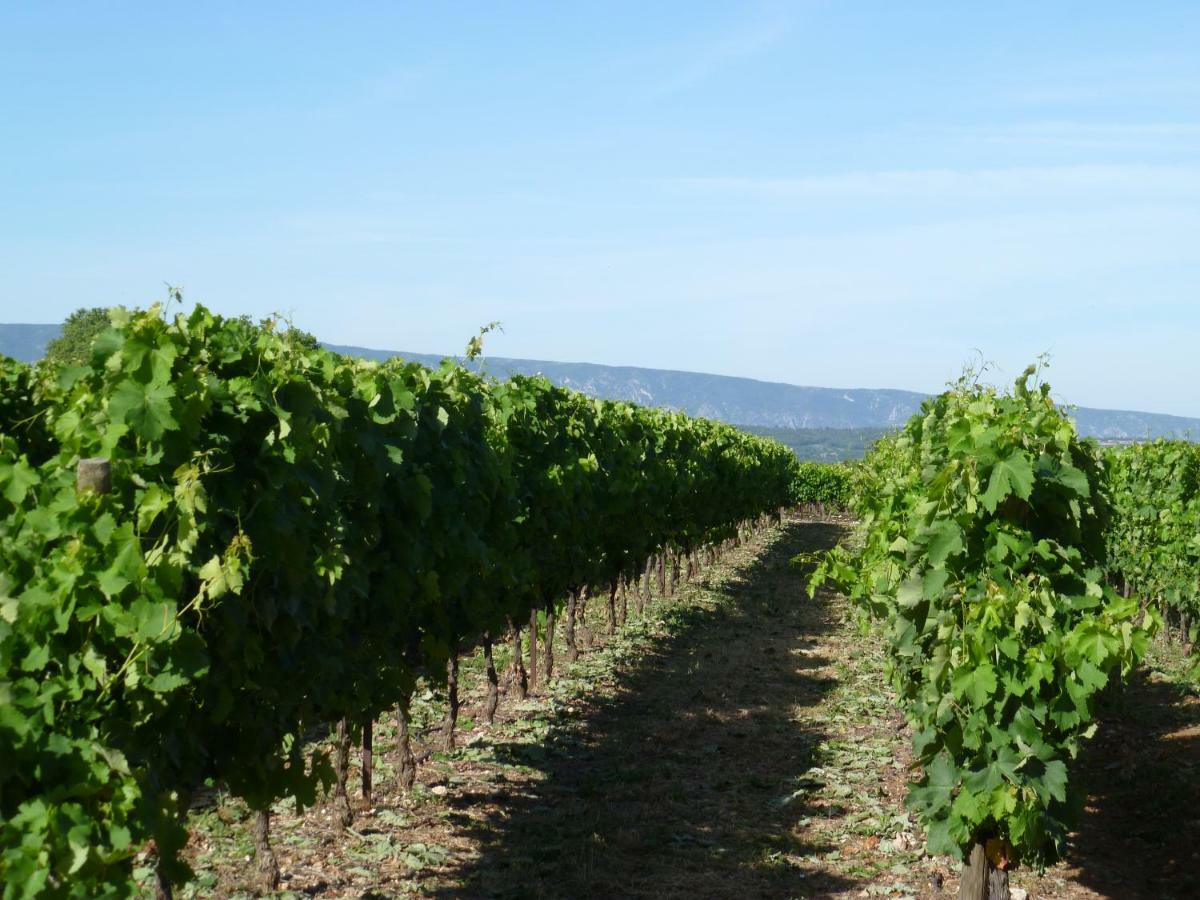 Luberon & Lavandes Русийон Экстерьер фото