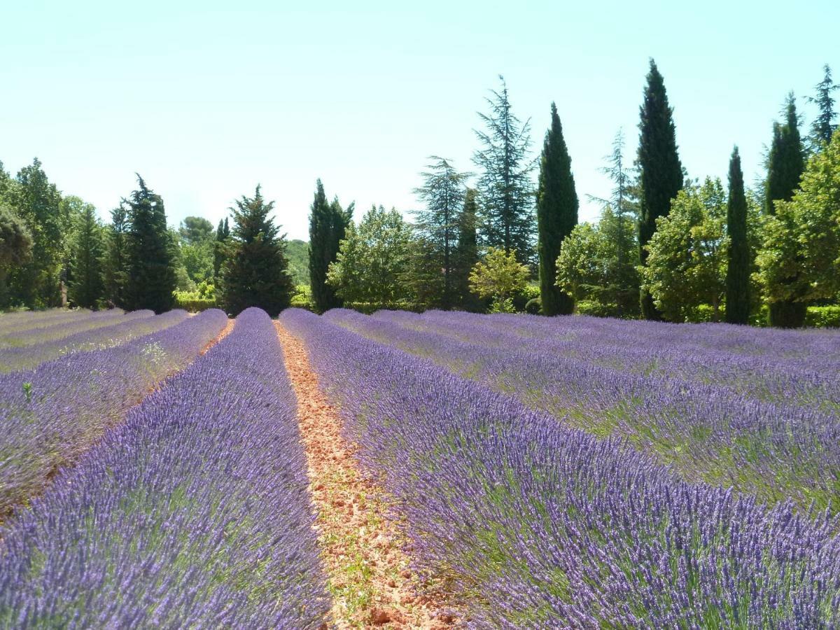 Luberon & Lavandes Русийон Экстерьер фото